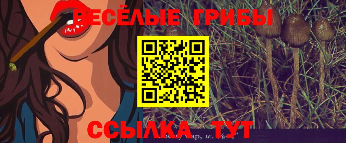 Псилоцибиновые грибы Magic Shrooms  Вход с VPN  Южноуральск 