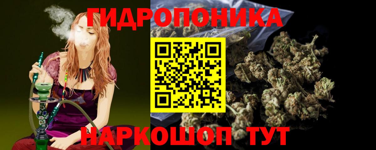 Бошки Шишки SATIVA & INDICA  Вход с VPN  Марихуана Amnesia  Южноуральск  Бошки марихуана Ganja  Конопля Bruce Banner 